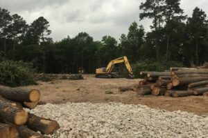 clearing location for facility construction